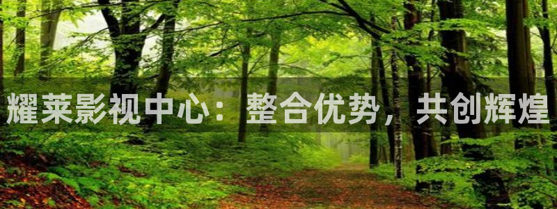 極速影院2024：耀萊影視中心：整合優勢，共創輝煌