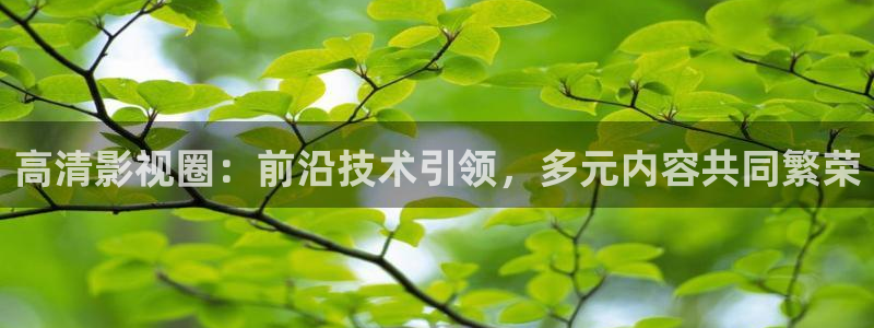 午夜極速影院被窩看片：高清影視圈：前沿技術引領，多元內容共同繁榮