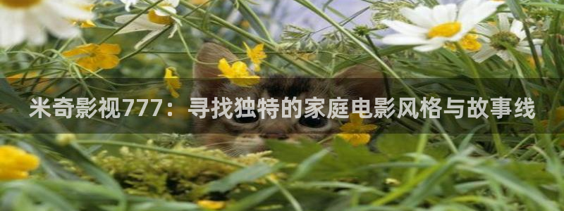飛極速影院在線觀看：米奇影視777：尋找獨特的家庭電影風格與故事線